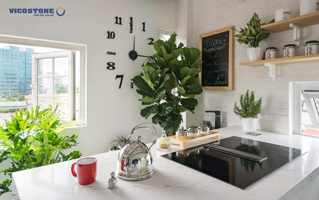 Đưa thiên nhiên vào không gian sống của bạn