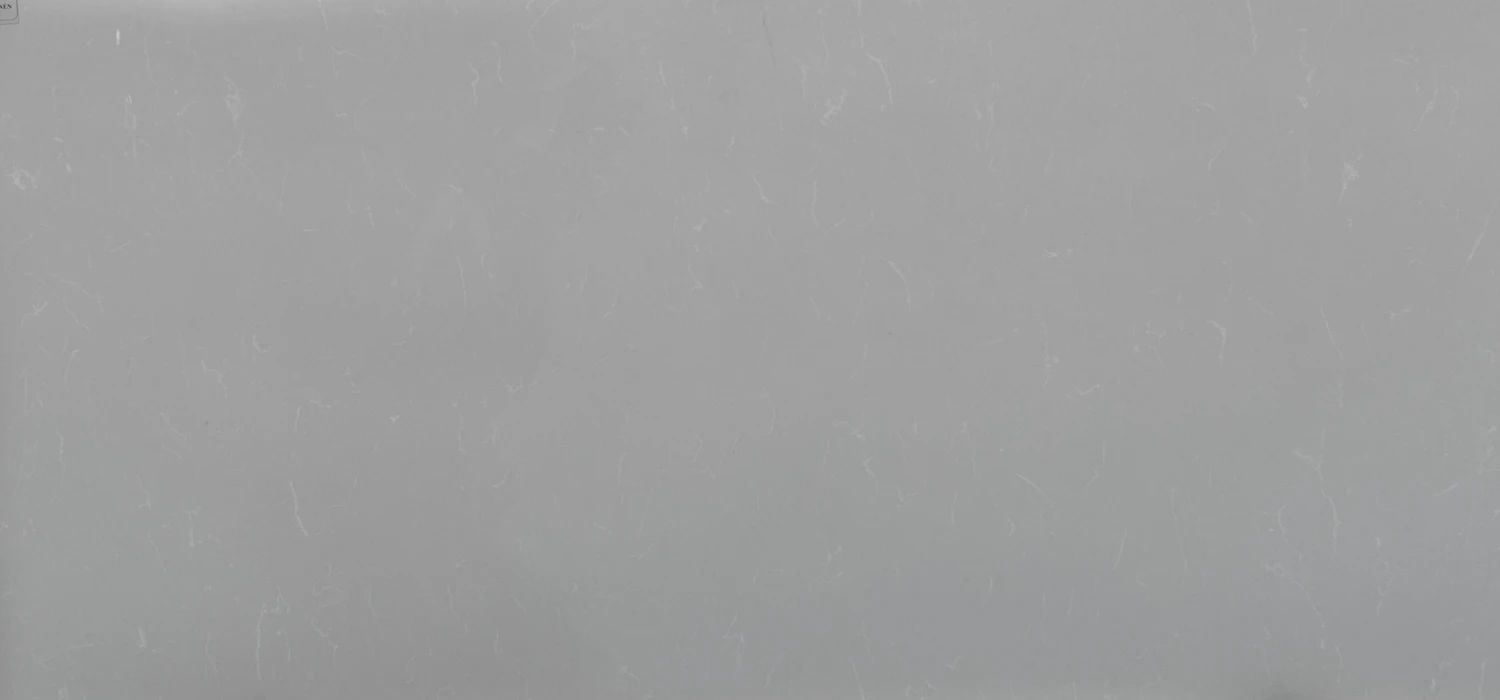 BQ8446