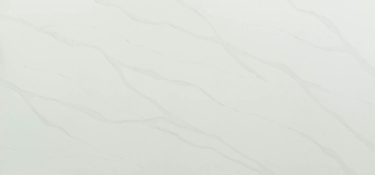 BQ 8800