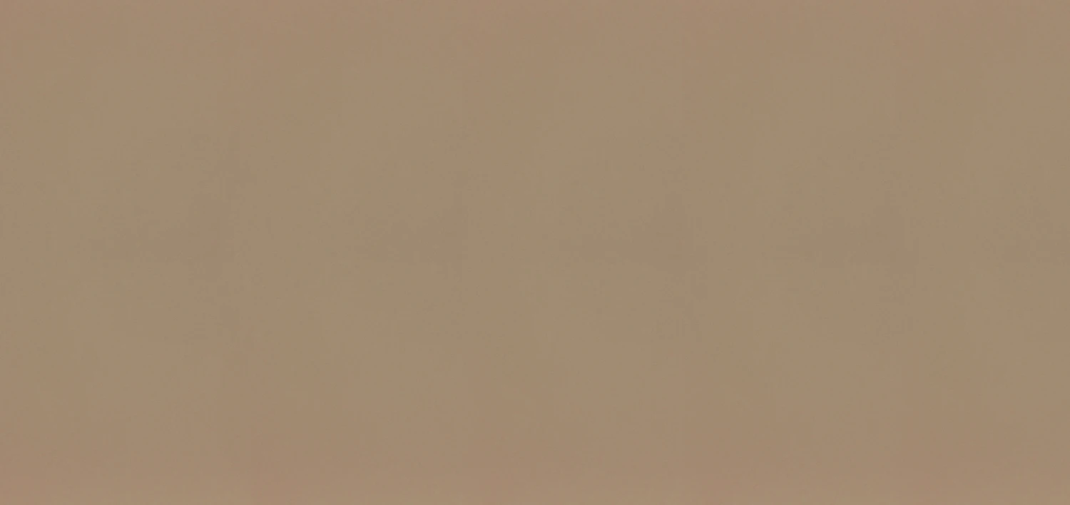 BQ 4010