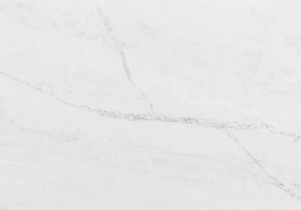 Bq6718-closeup (3)
