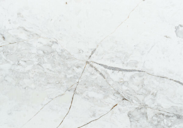 Bq6803-closeup (2)