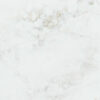 Bq6880-closeup (3)