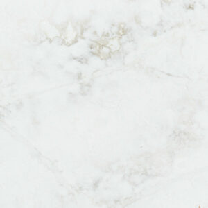 Bq6880-closeup (3)