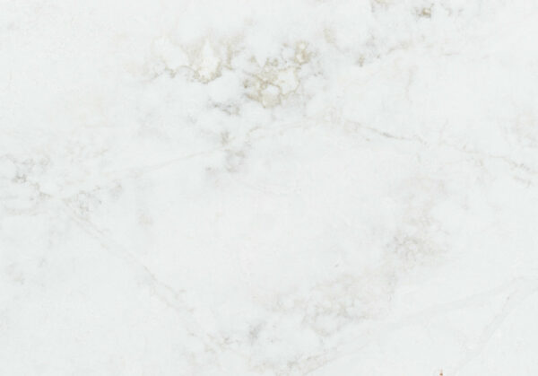 Bq6880-closeup (3)