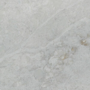Bq6881-closeup (3)