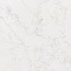 Bq6901-closeup (2)