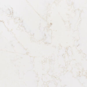 Bq6901-closeup (2)