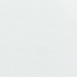 Bq8629-closeup